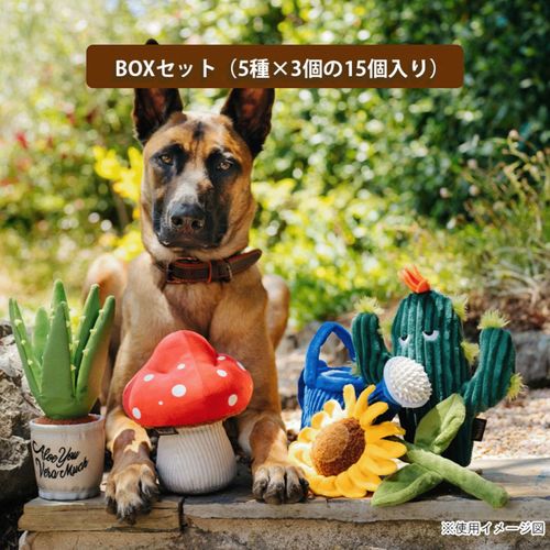 817152019756







ルークラン
プレイ 犬用おもちゃ ブルーミングバディーズBOXセット