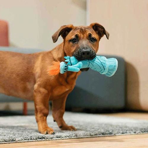 840279500180







ルークラン
プレイ 犬用おもちゃ トータリーツーリスティー レディリバティー