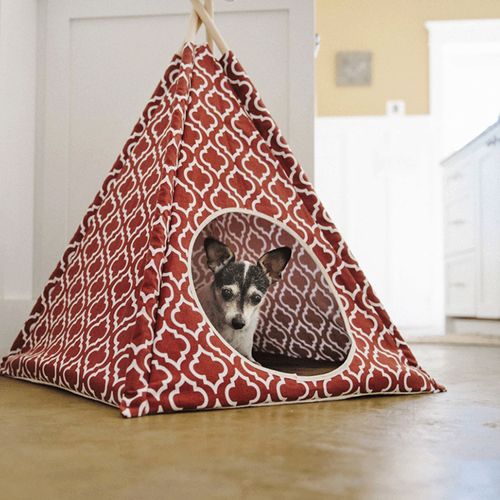 817152015468







ルークラン
プレイ ティピーテント