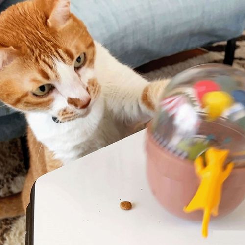 4897045822164







ルークラン
エルシック 猫用おもちゃ キャットタンブラー