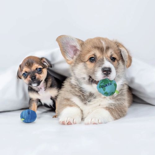 4582719341057







ルークラン
ループ 犬用おもちゃ スモル プラネット