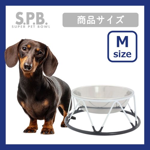 4979007136523



PZ13652



プラッツ
SPB シングルダイナー M