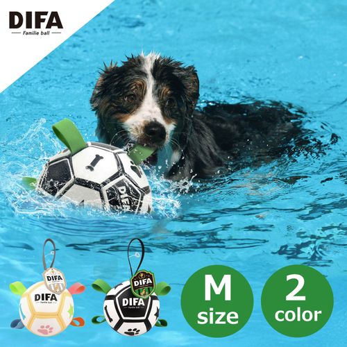 4979007751962







プラッツ
DIFA ファミリエボール M