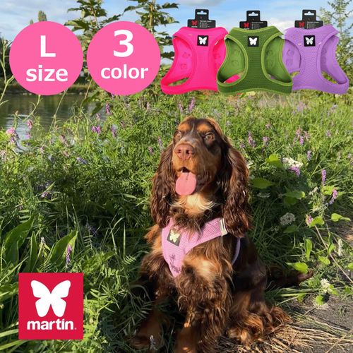 4979007115108







プラッツ
maetin バタフライハーネス Lサイズ