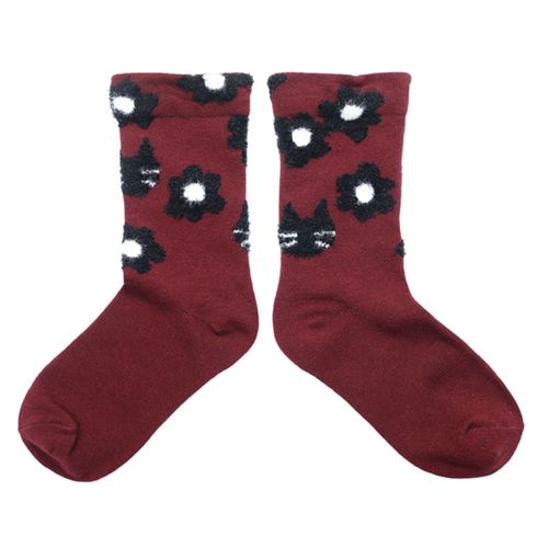 4571226756775







ノアファミリー
ハナネコソックス