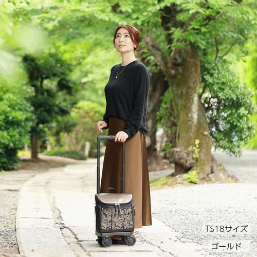 4984664694545







スワニー
スワニーD－694 KIRYU TS18