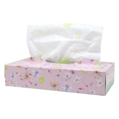 4970570125389



20120135



イトマン
2025 スプリングティシュ120 ダブル（60個入り）