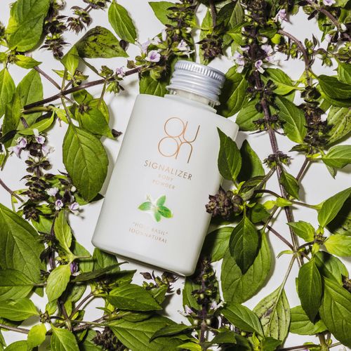 4560263171917



709



クレコス
シグナライザーボディパウダー