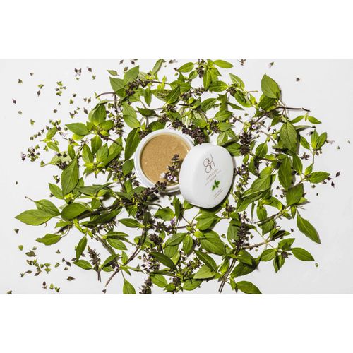 4560263171924



686



クレコス
サブティライザーボディシュガースクラブ