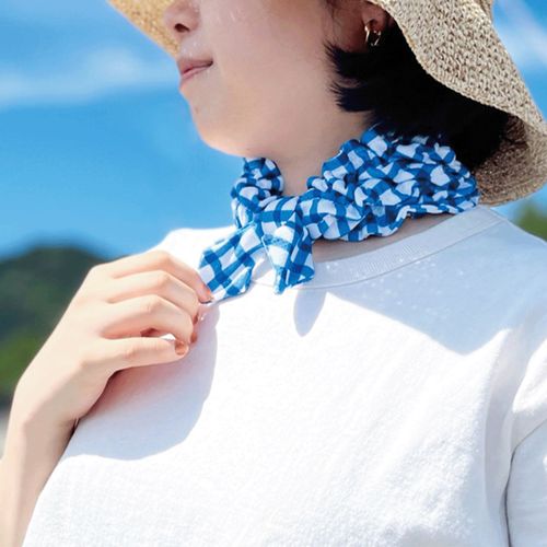 4516344096402







現代百貨
チェック ネッククーラー