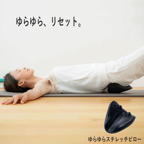 4940267537115



NH3814-09



羽立工業
ストレッチピローBK