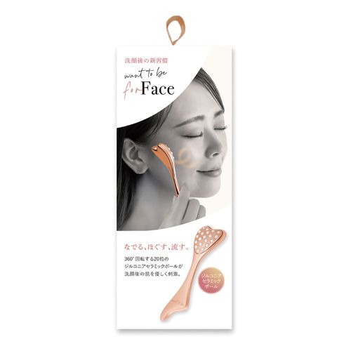 4528870712909



712909



アルファックス
WTBフェイスローラー