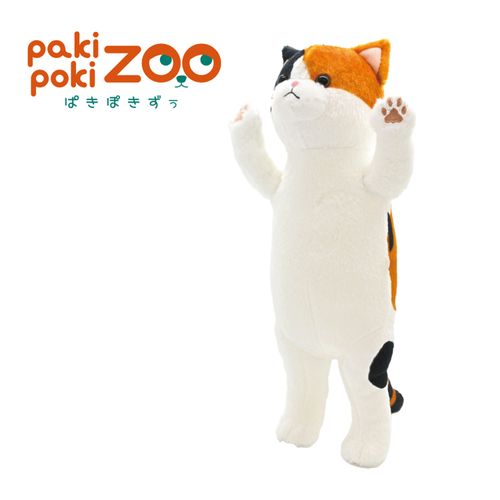 4994793080515



11946



山二
ぱきぽきずぅ ポージングぬいぐるみ ミケネコ