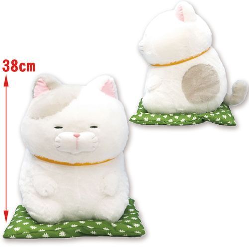 256290



アミューズ
ひげまんじゅう 正座弐ウルトラBIG さとり