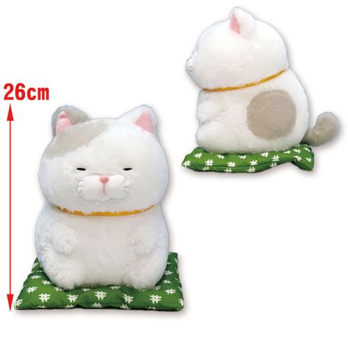 256291



アミューズ
ひげまんじゅう 正座弐JB さとり