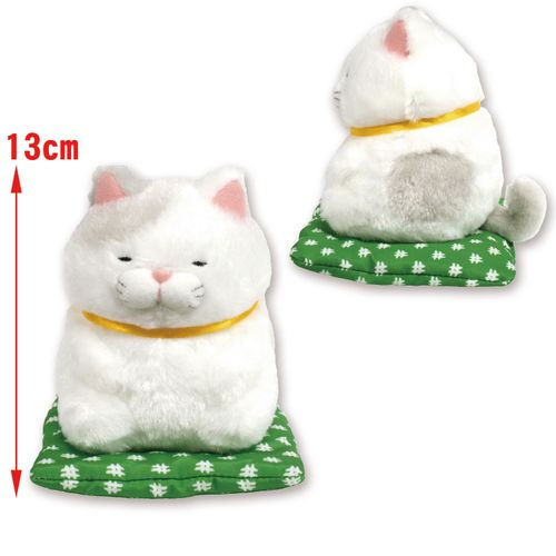 256292



アミューズ
ひげまんじゅう 正座弐 さとり