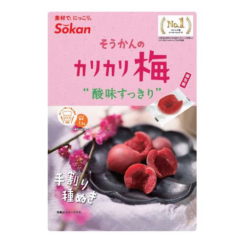 4941983023999







壮関
そうかんのカリカリ梅 個包装