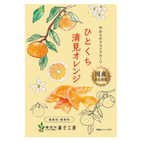 4582400145230







南信州菓子工房
ひとくち清美オレンジ