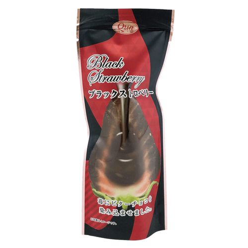 4562179677118







エフコム
ブラックストロベリー50gスタンド袋