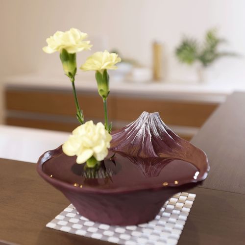 4560399732860



NAFT-077-NRE



ナガエプリュス
銀雅堂さかさ富士花器 赤富士