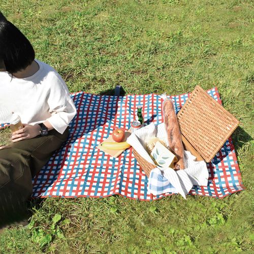 4516344096693







現代百貨
piatto レジャーシート ミックスチェック