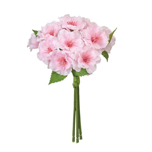 4967116907172



FM001710-2



東京堂
まりか桜ピック