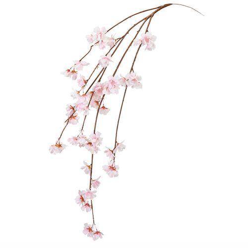 4967116908490



FM005532



東京堂
はつね桜バイン