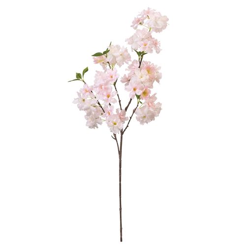 4967116910172



FM006217



東京堂
はなな桜