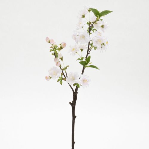 4580120825319



V24046



日本ビダヤコム
朱雀桜小枝