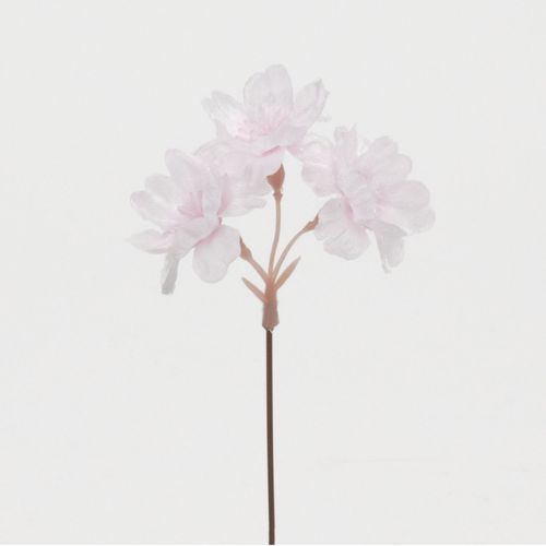 4580120825838



V24102



日本ビダヤコム
桜ピック12本入り