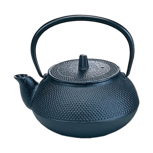 4954192100221



10022



ワールド・クリエイト
南部鉄瓶 新アラレ 0．65L 直火可・IH不可