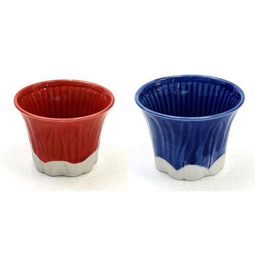 ヤマキイカイ
富士山盃