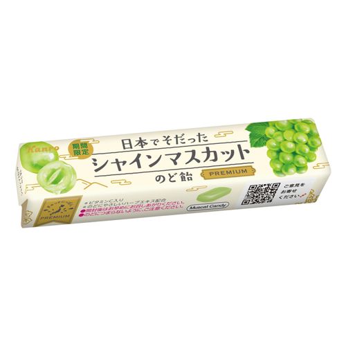 4901351033647



0



アイネット
カンロ 日本でそだったシャインマスカットのど飴