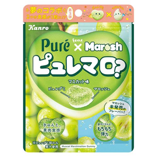 4901351025598







アイネット
カンロ ピュレマロ？マスカット