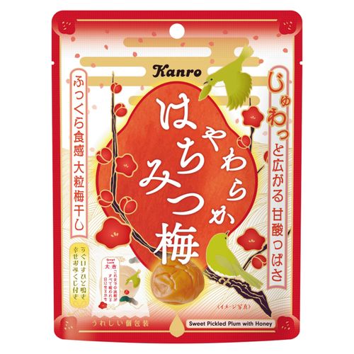 4901351008669







アイネット
カンロ やわらかはちみつ梅