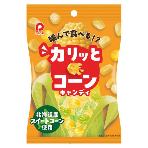 4902435031443







高山
パイン カリッとコーン