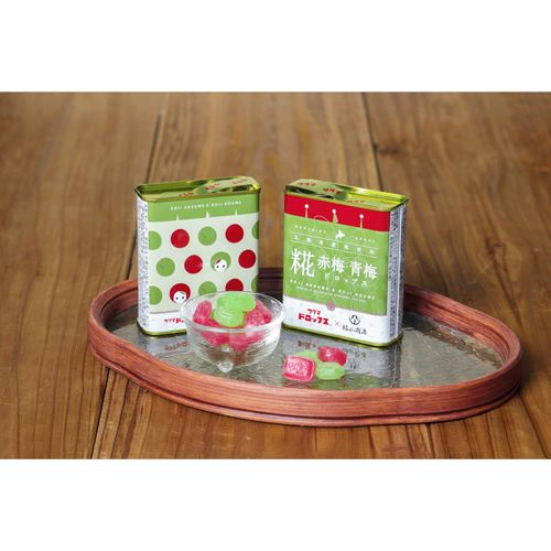 4582496693172



44300030



福山醸造
ヤマト福山商店 糀赤梅青梅ドロップス