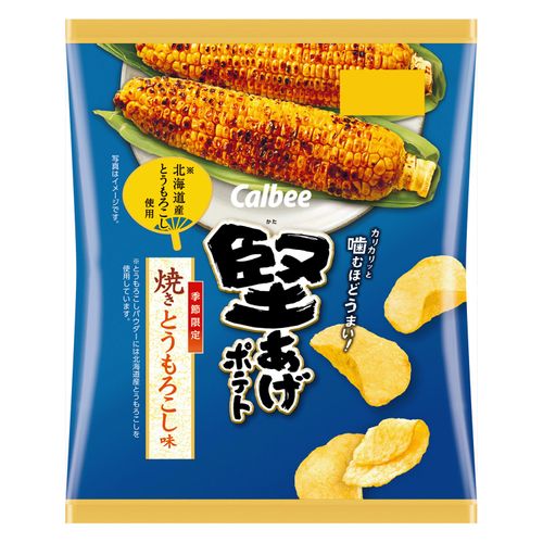 4901330922757



0



アイネット
カルビー 堅あげポテト 焼きとうもろこし味