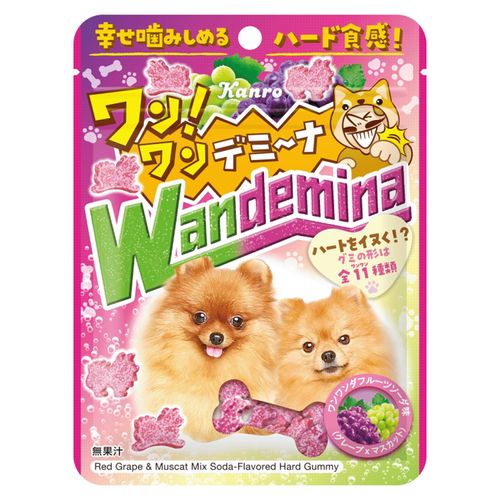 4901351011195



0



アイネット
カンロ ワンワンデミーナグミ