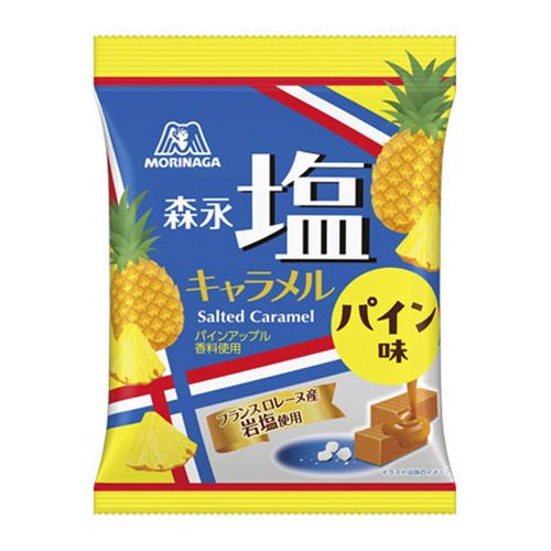 4902888271571



0



アイネット
塩キャラメル 袋 パイン味