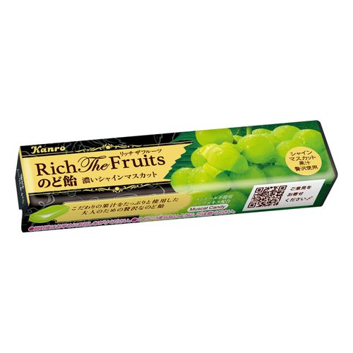 4901351033685



0



アイネット
カンロ リッチザフルーツのど飴 濃いマスカット