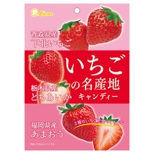 4903939020629







高山
ライオン菓子 いちごの名産地キャンディー