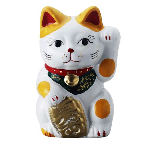 4582566483467



K5687 ｷﾌﾞﾁ



カネ三商店
磁器招猫貯金箱（中）黄ぶち