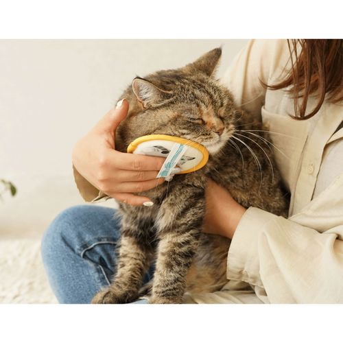 4902391071057







日本シール
にゃんとも あまえんぼうブラシ