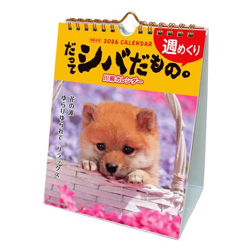 4990012935666



26ACL-566



アクティブコーポレーション
だってシバだもの。週めくり卓上カレンダー