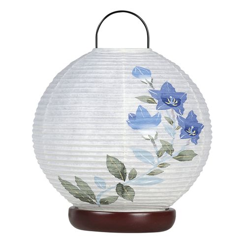 23055



オゼキ
ほのか華3号 桔梗