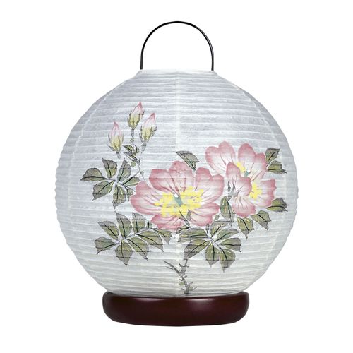 23056



オゼキ
ほのか華3号 野ばら