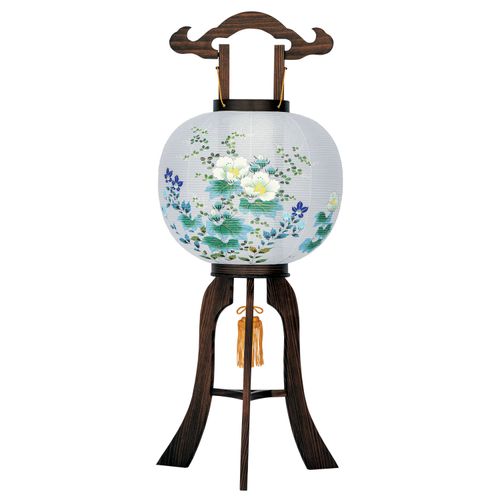 51311



オゼキ
景樹11号 芙蓉に桔梗