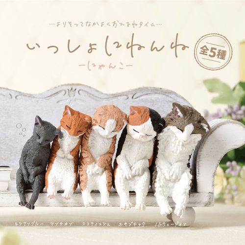 4570198782300



BB0071AS



エール
いっしょにねんね にゃんこ