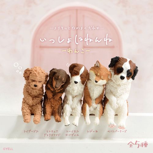 4570198783888



BB0079AS



エール
いっしょにねんね わんこ